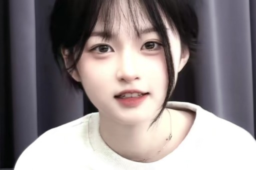 侵权风险